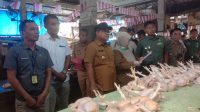 Pemkot Palopo Lebih Intensif Pantau Harga Kebutuhan Pokok